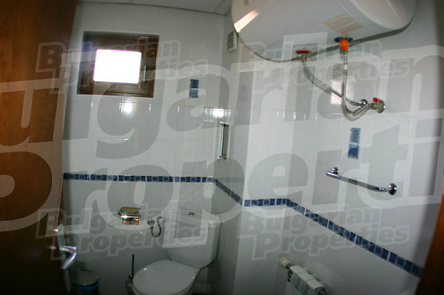 Gallery Picture 14