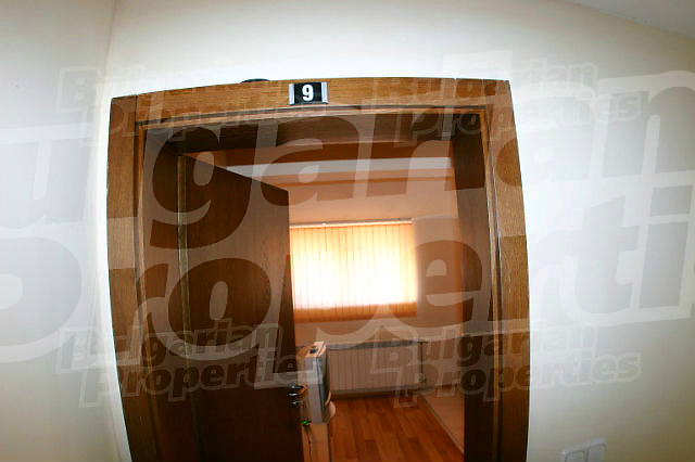 Gallery Picture 7