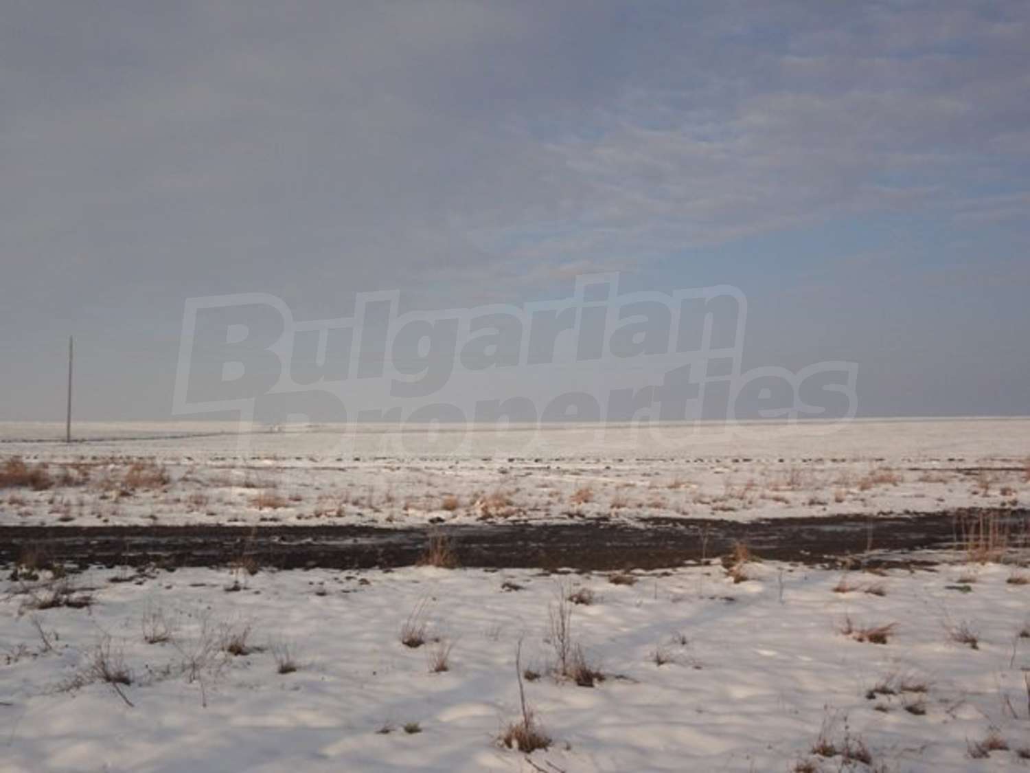 Gallery Picture 5