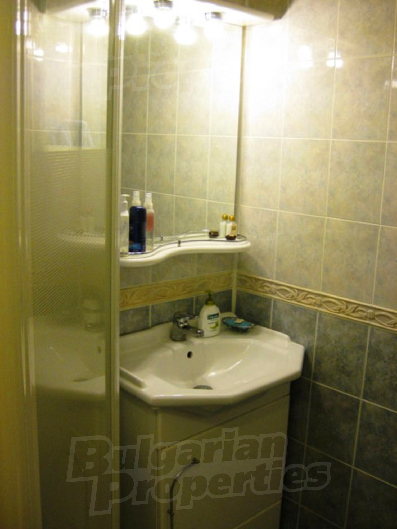 Gallery Picture 19