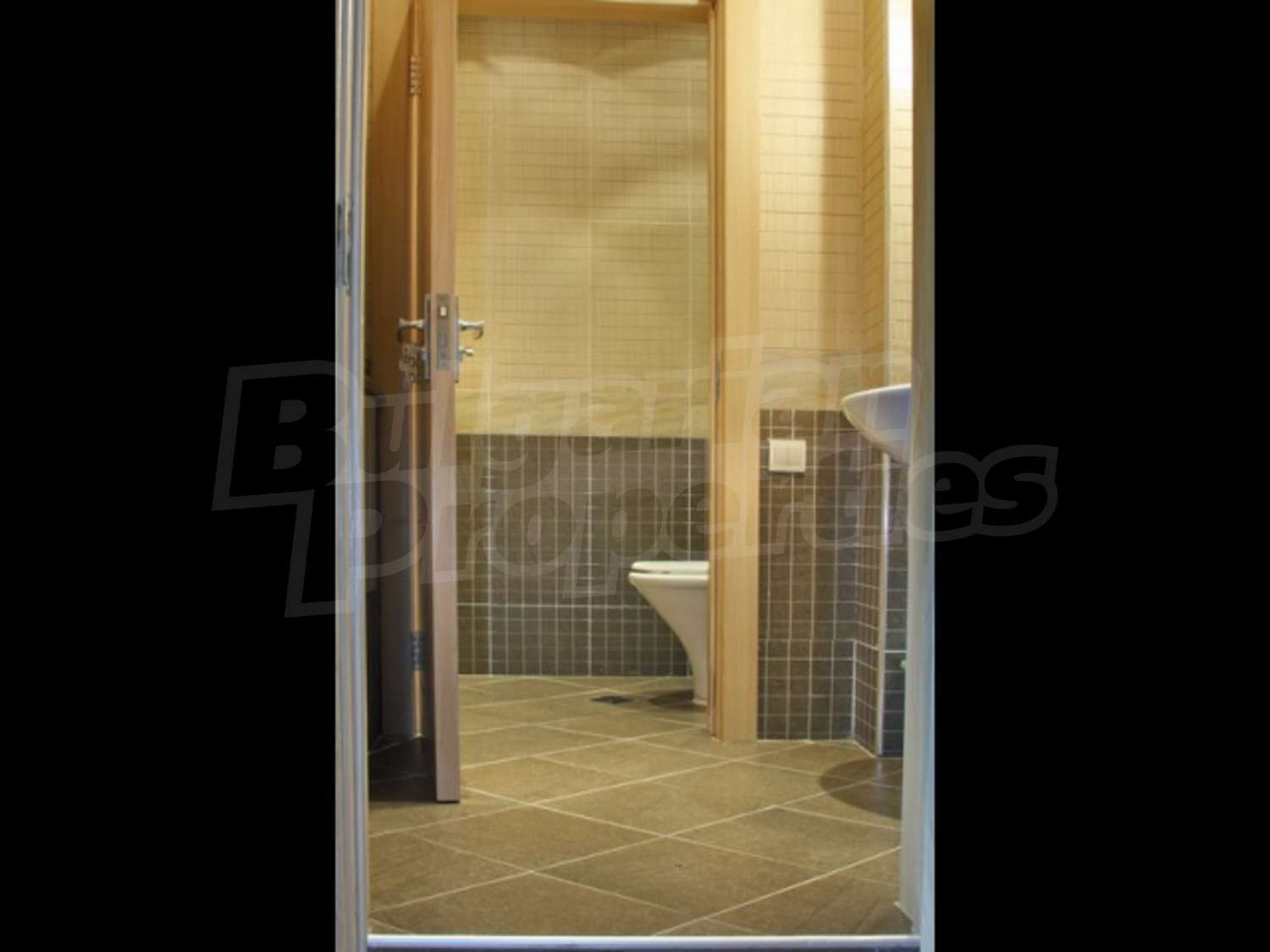 Gallery Picture 14