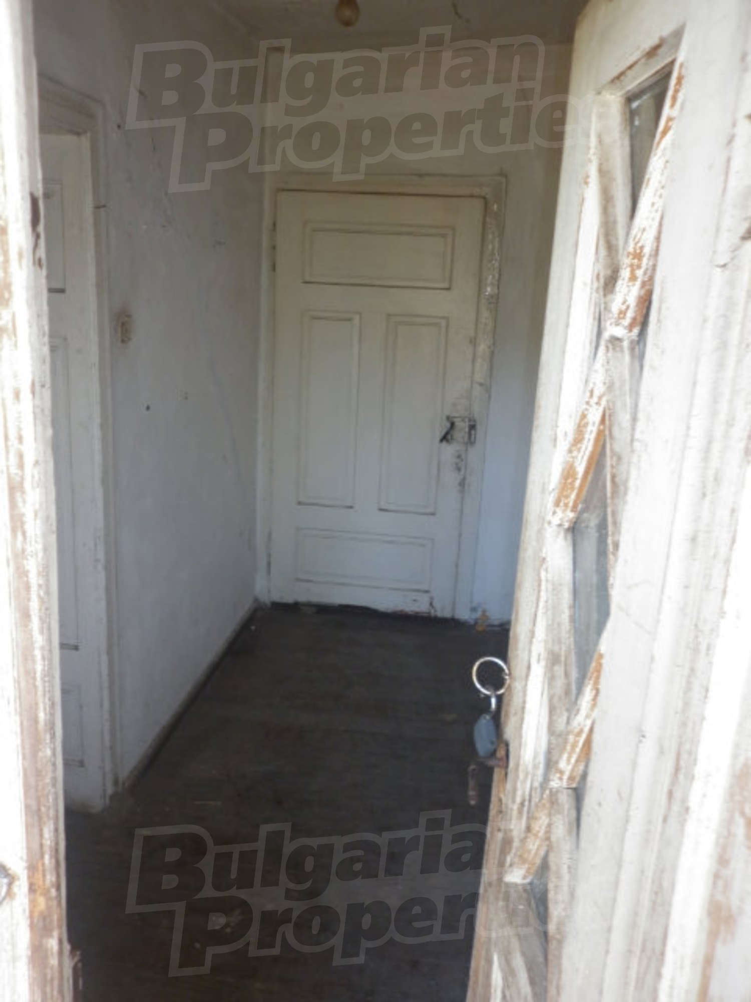 Gallery Picture 14