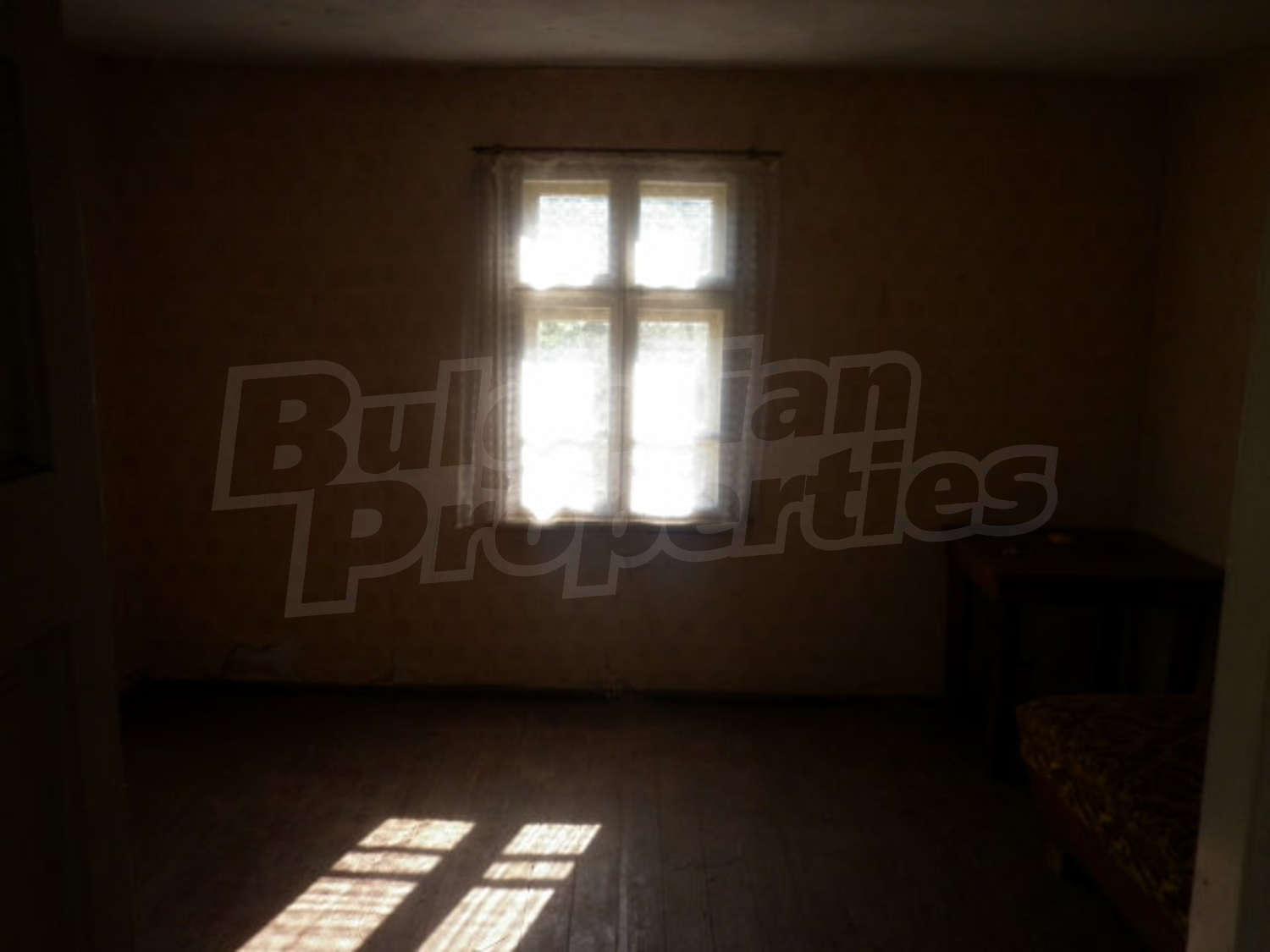 Gallery Picture 15