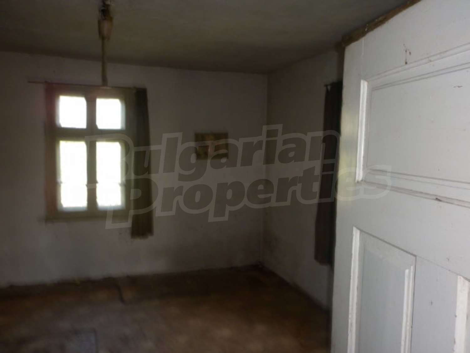 Gallery Picture 17