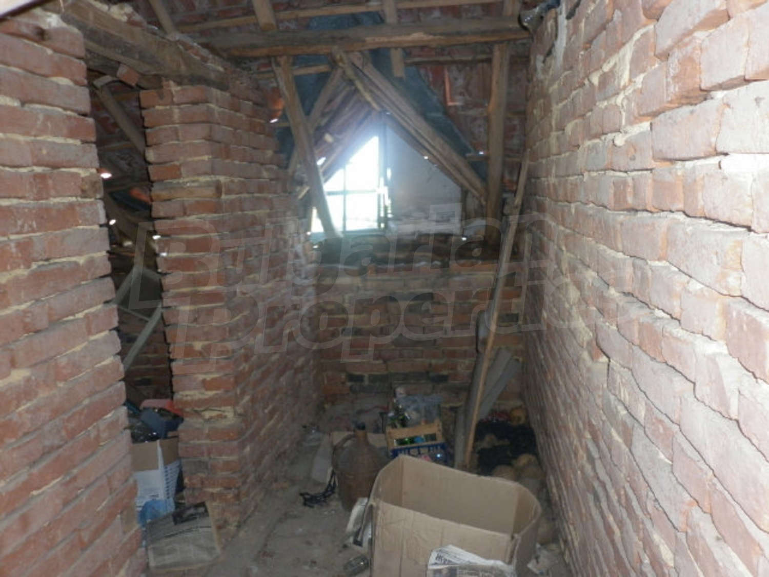 Gallery Picture 25