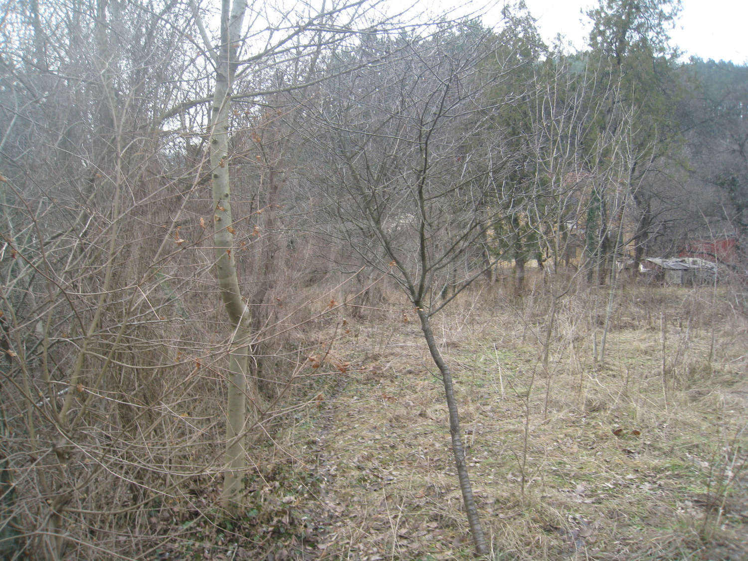 Gallery Picture 10