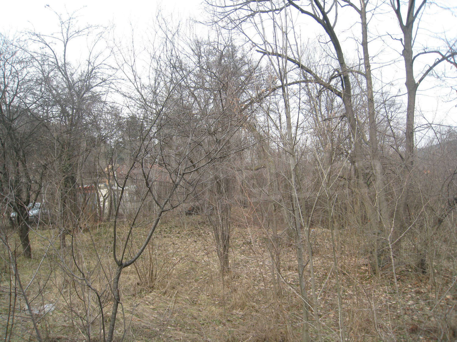 Gallery Picture 12