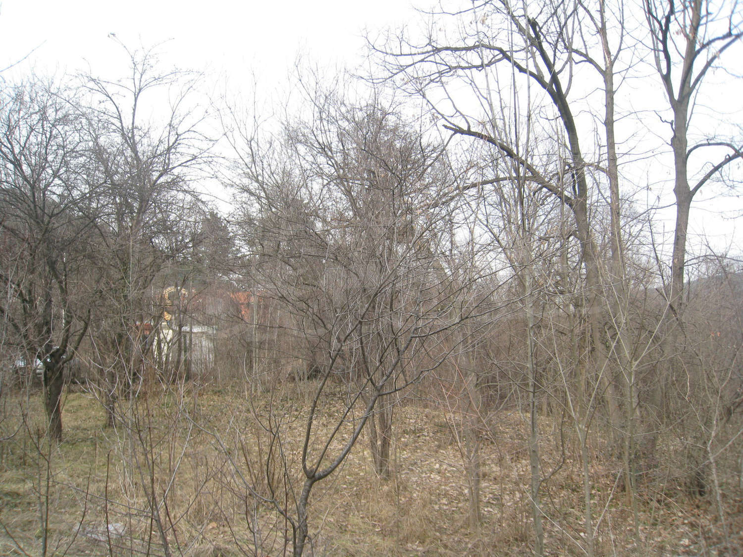 Gallery Picture 14