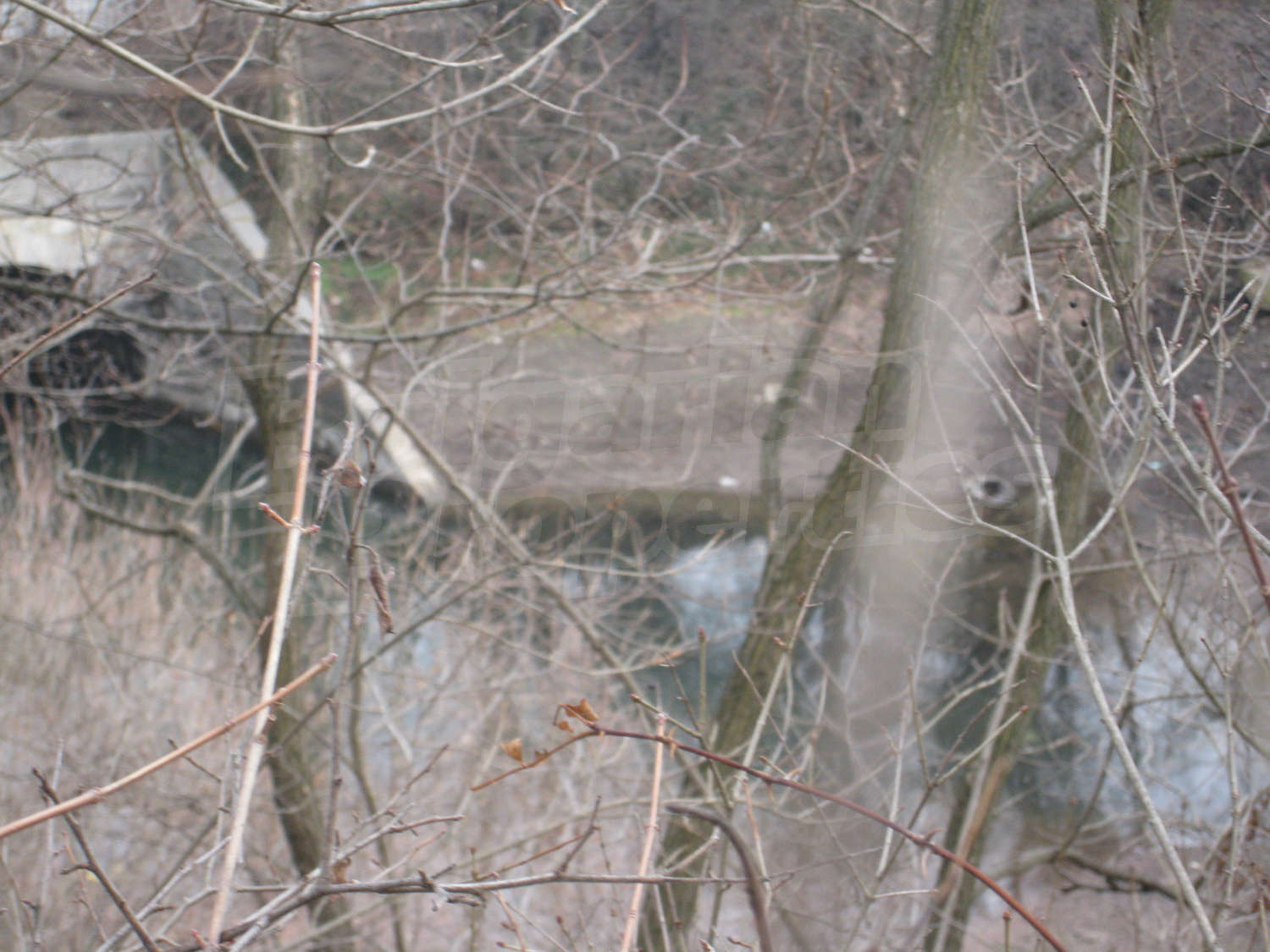Gallery Picture 17