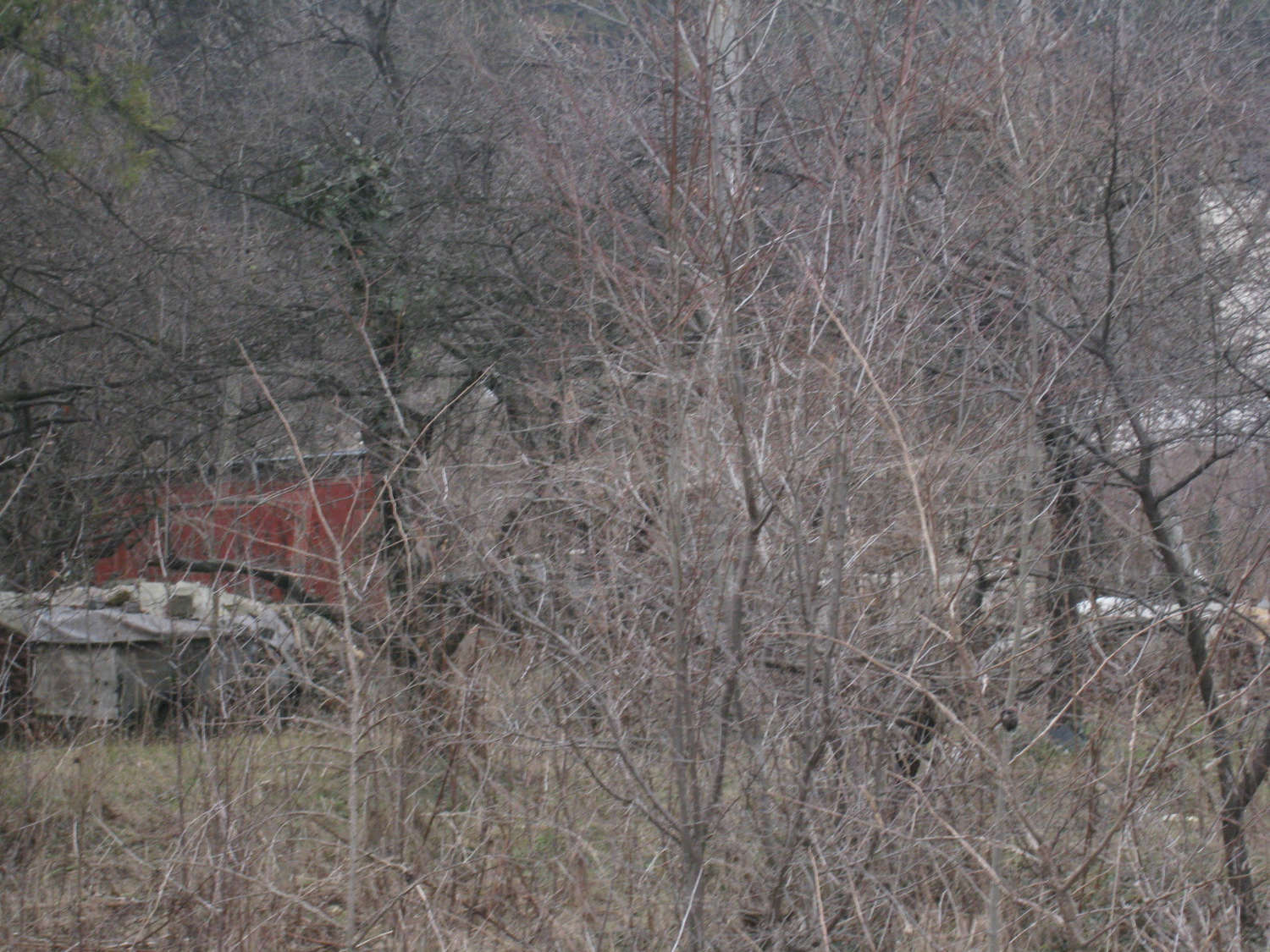 Gallery Picture 19