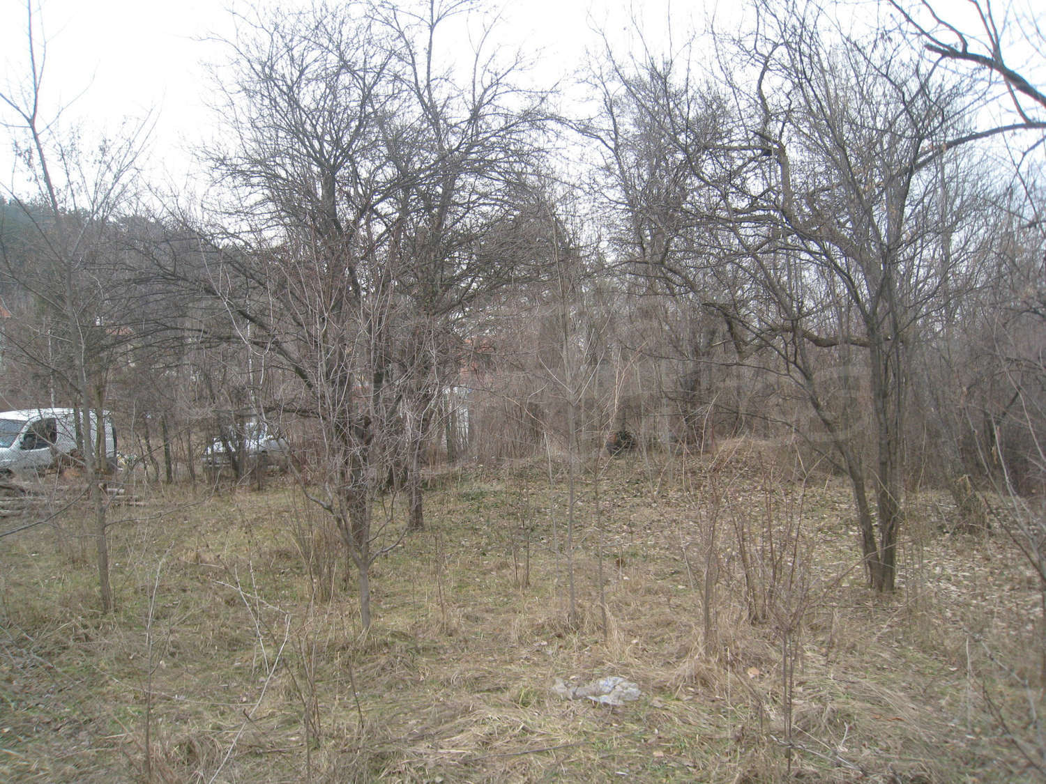Gallery Picture 22