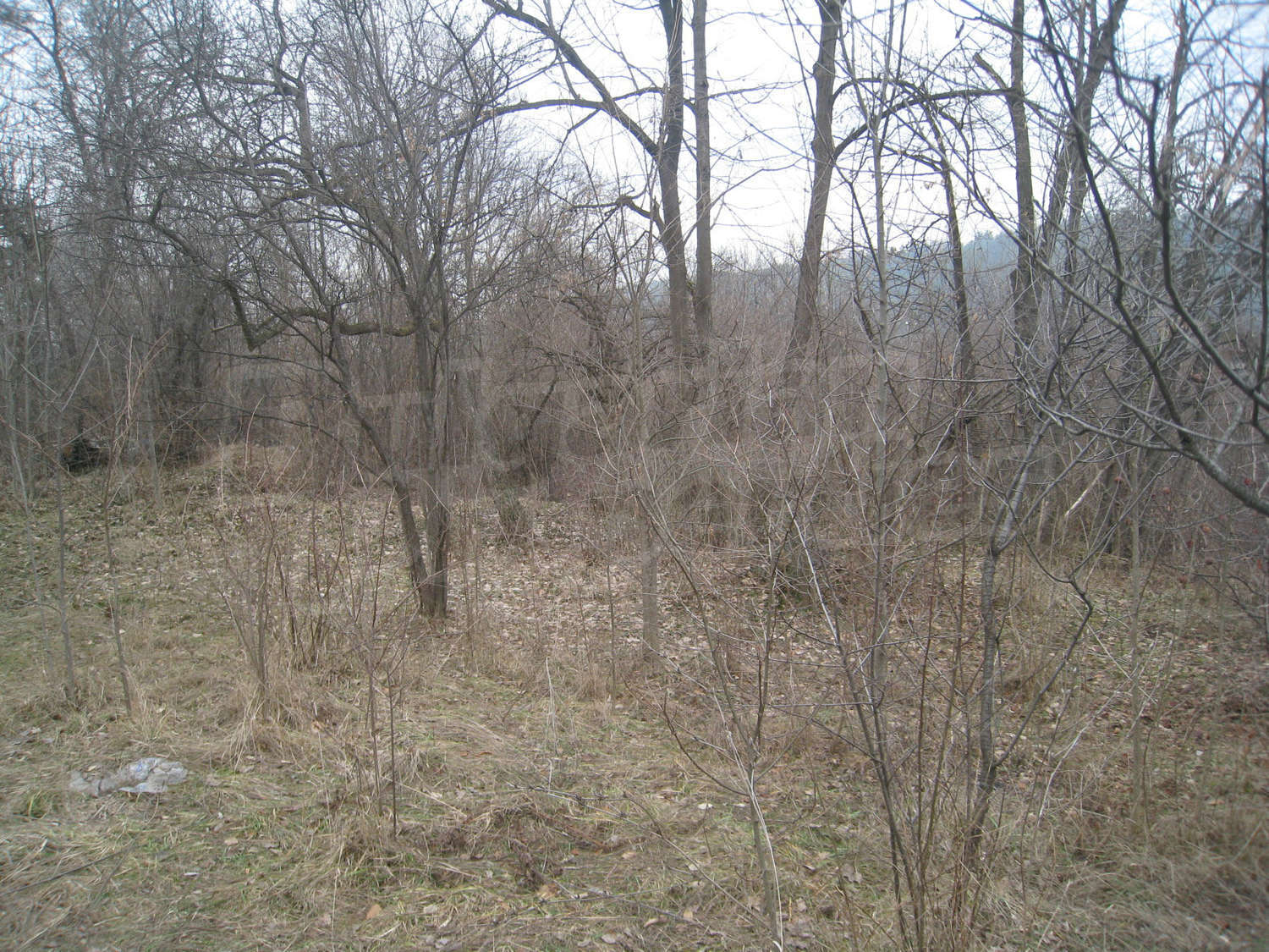 Gallery Picture 23