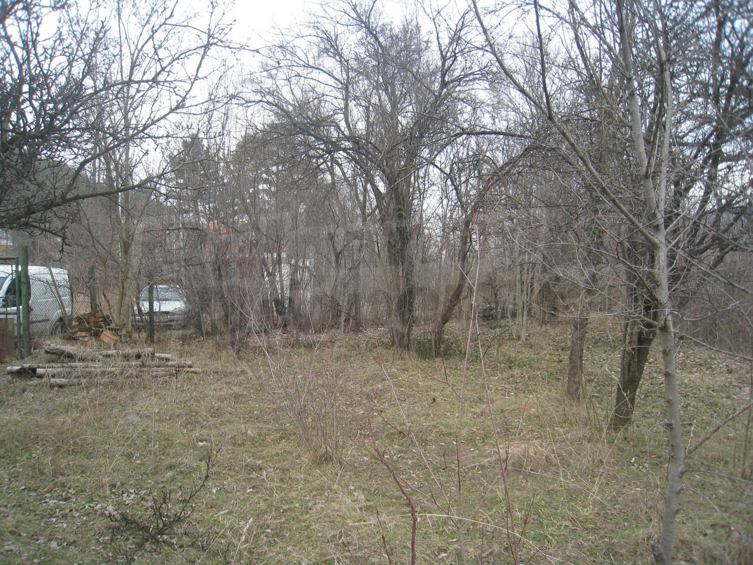 Gallery Picture 24