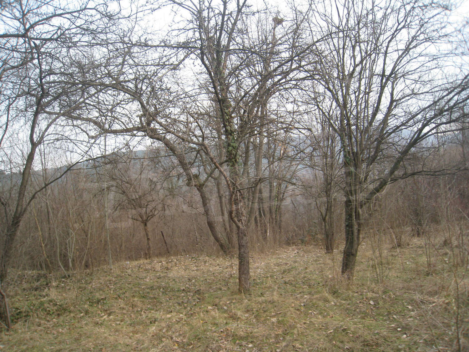 Gallery Picture 7