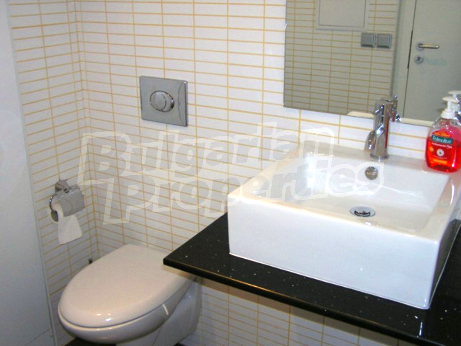 Gallery Picture 12