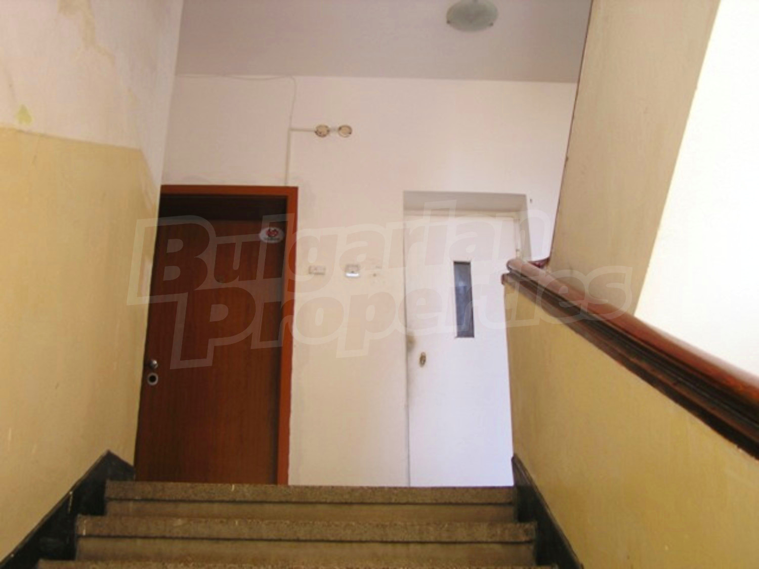Gallery Picture 14