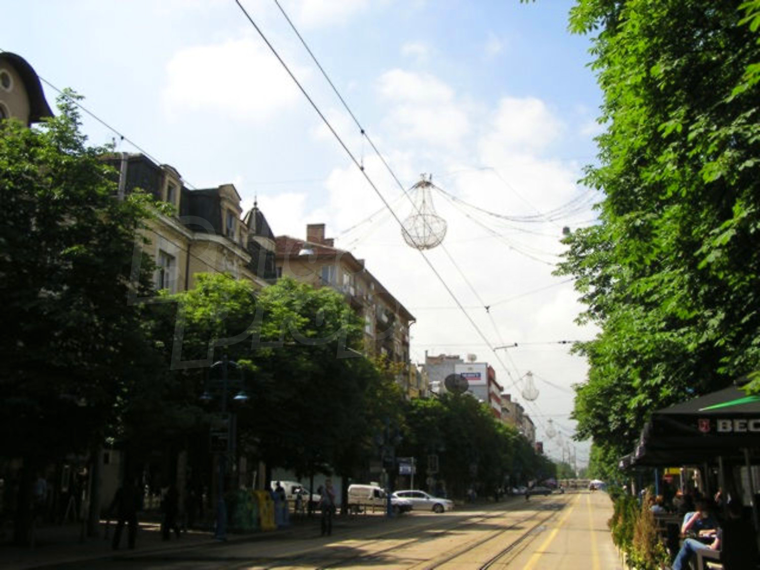 Gallery Picture 16