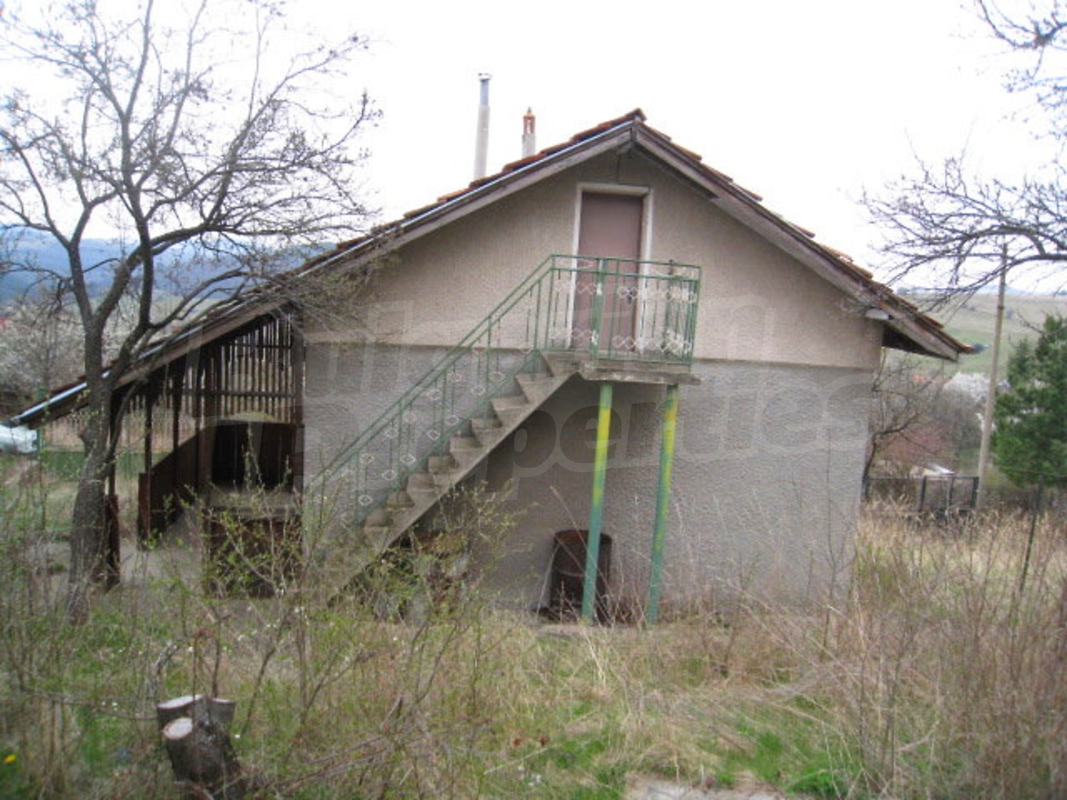 Gallery Picture 13