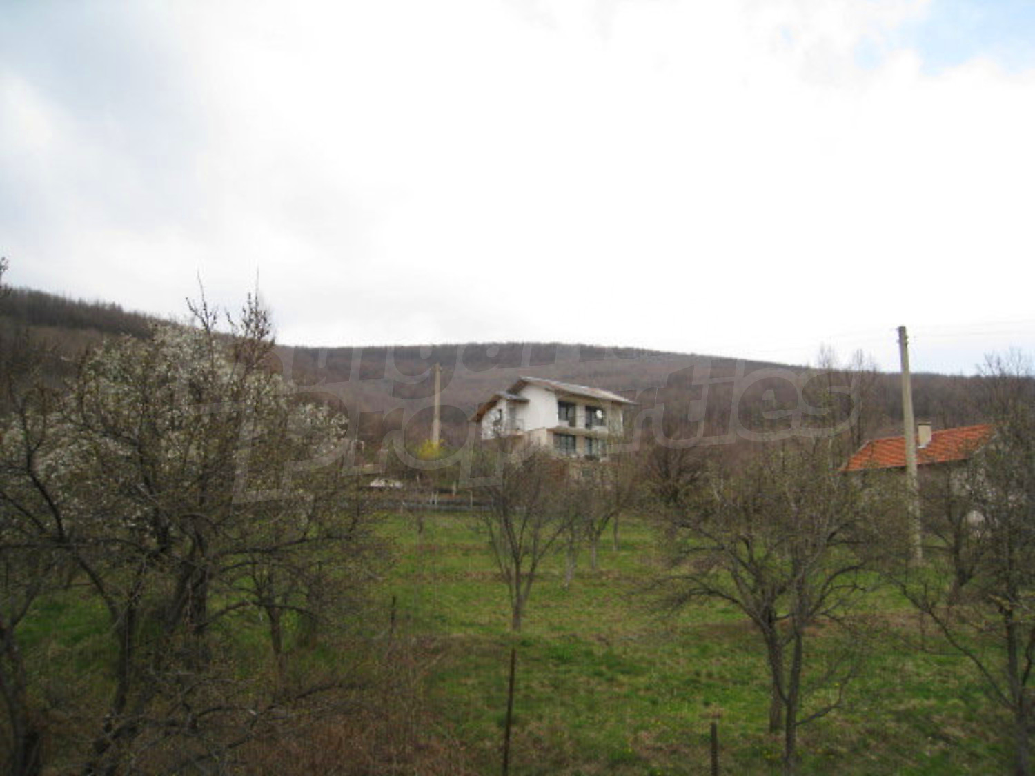 Gallery Picture 15