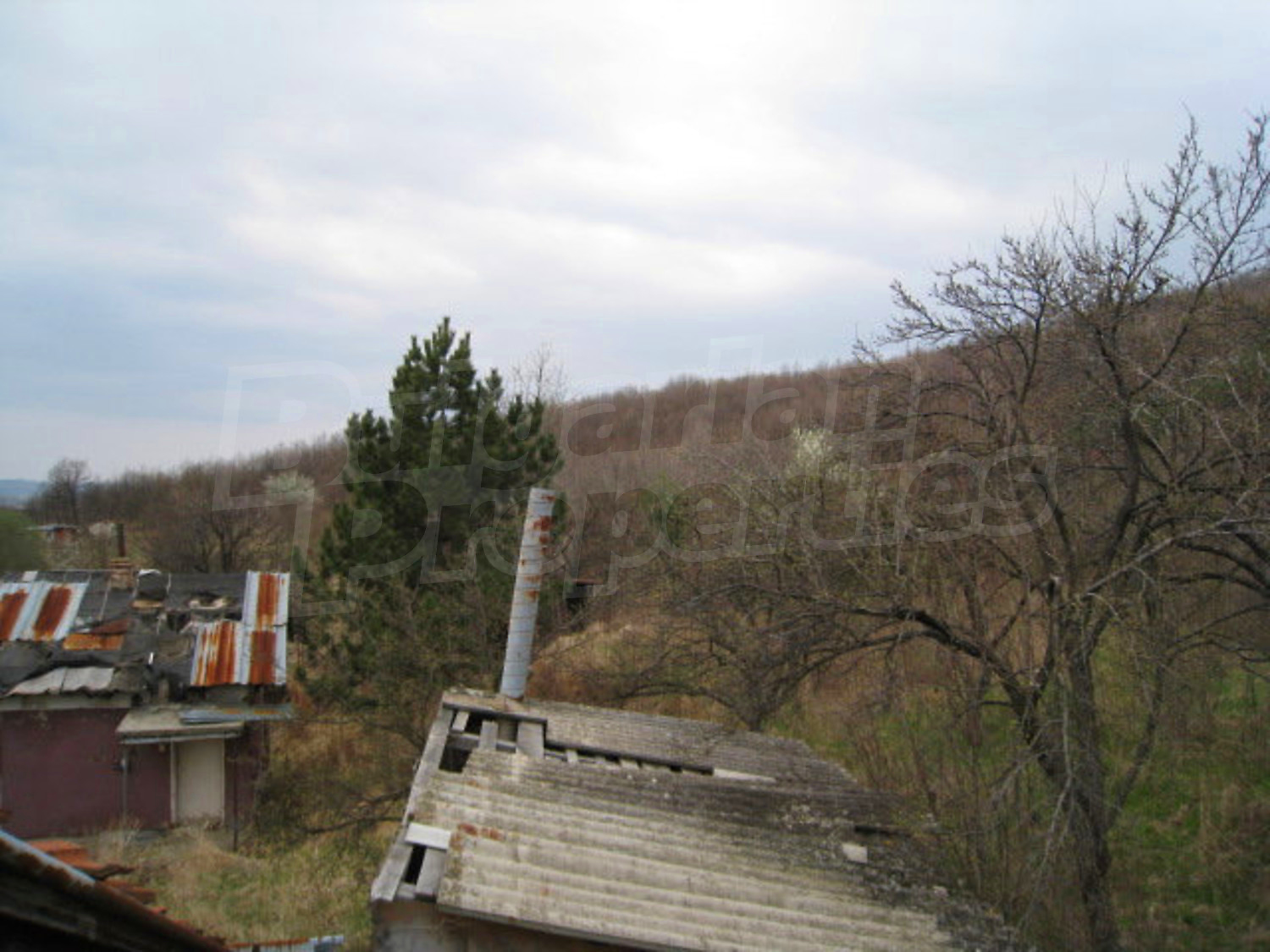 Gallery Picture 16