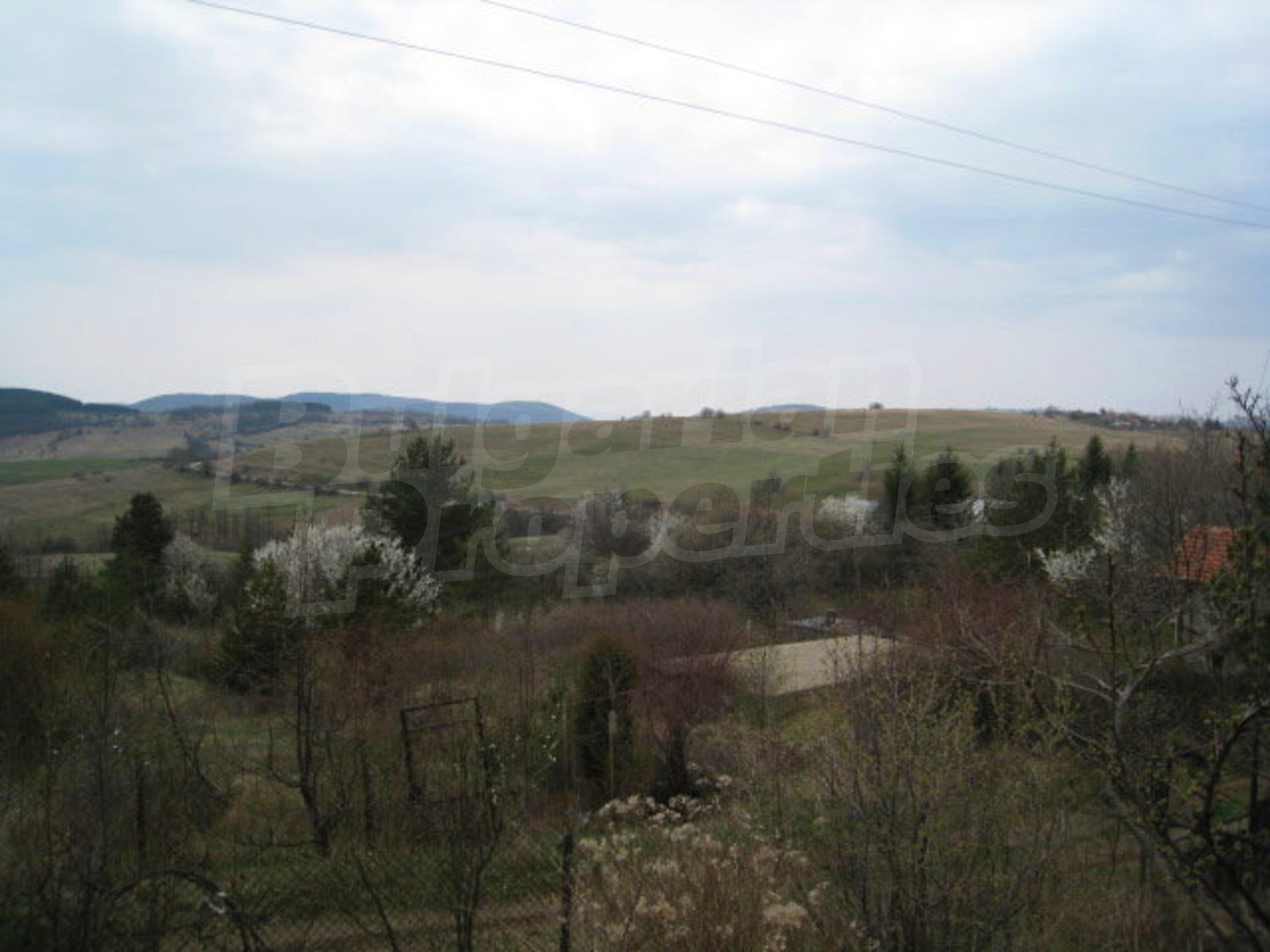 Gallery Picture 17