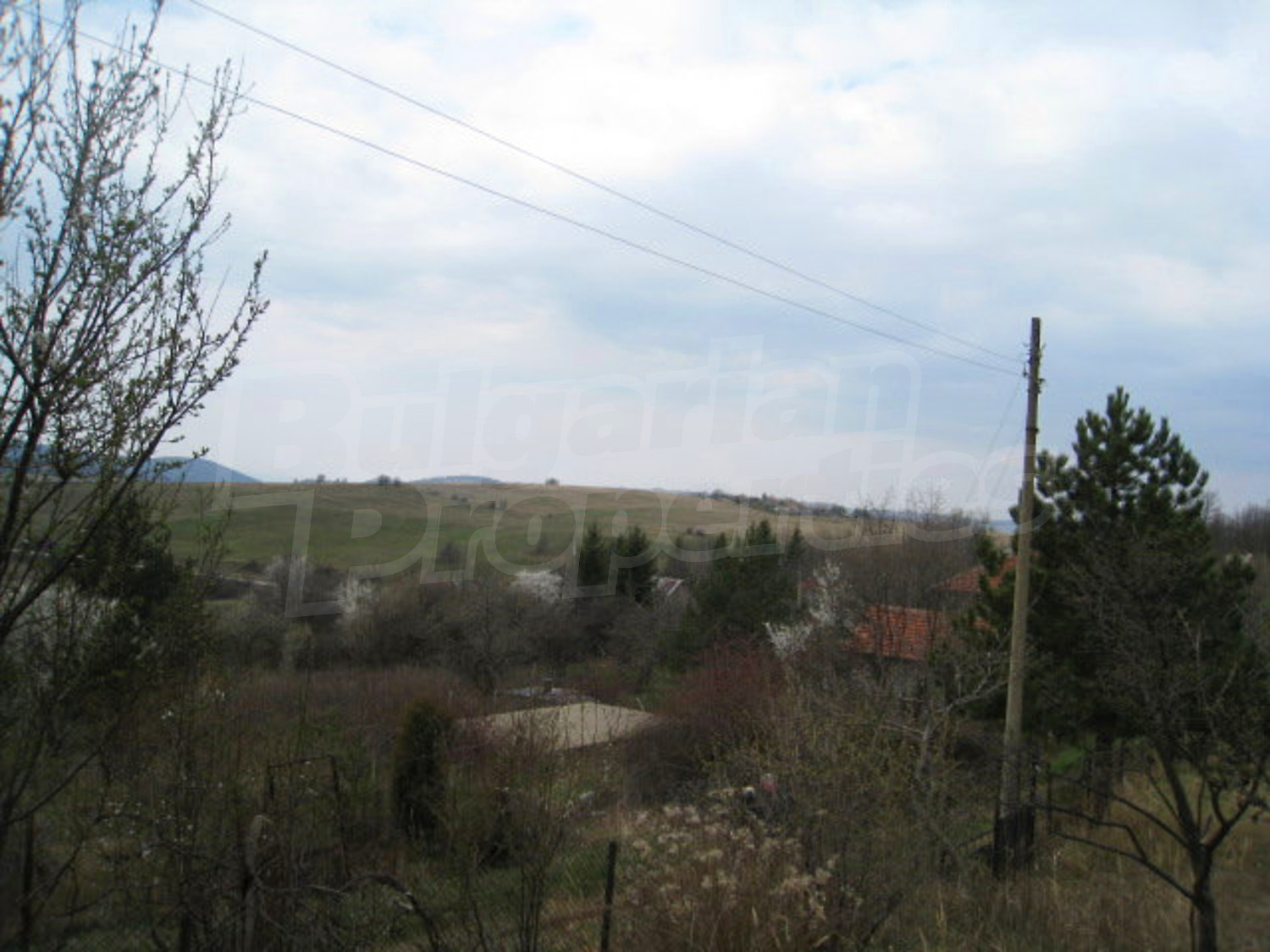 Gallery Picture 18