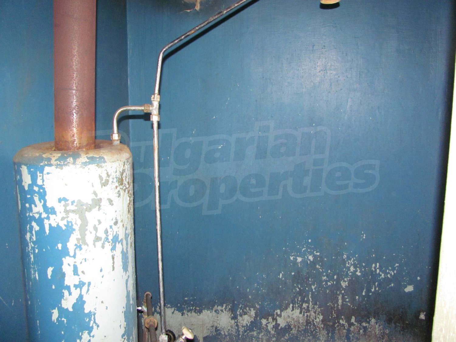 Gallery Picture 31