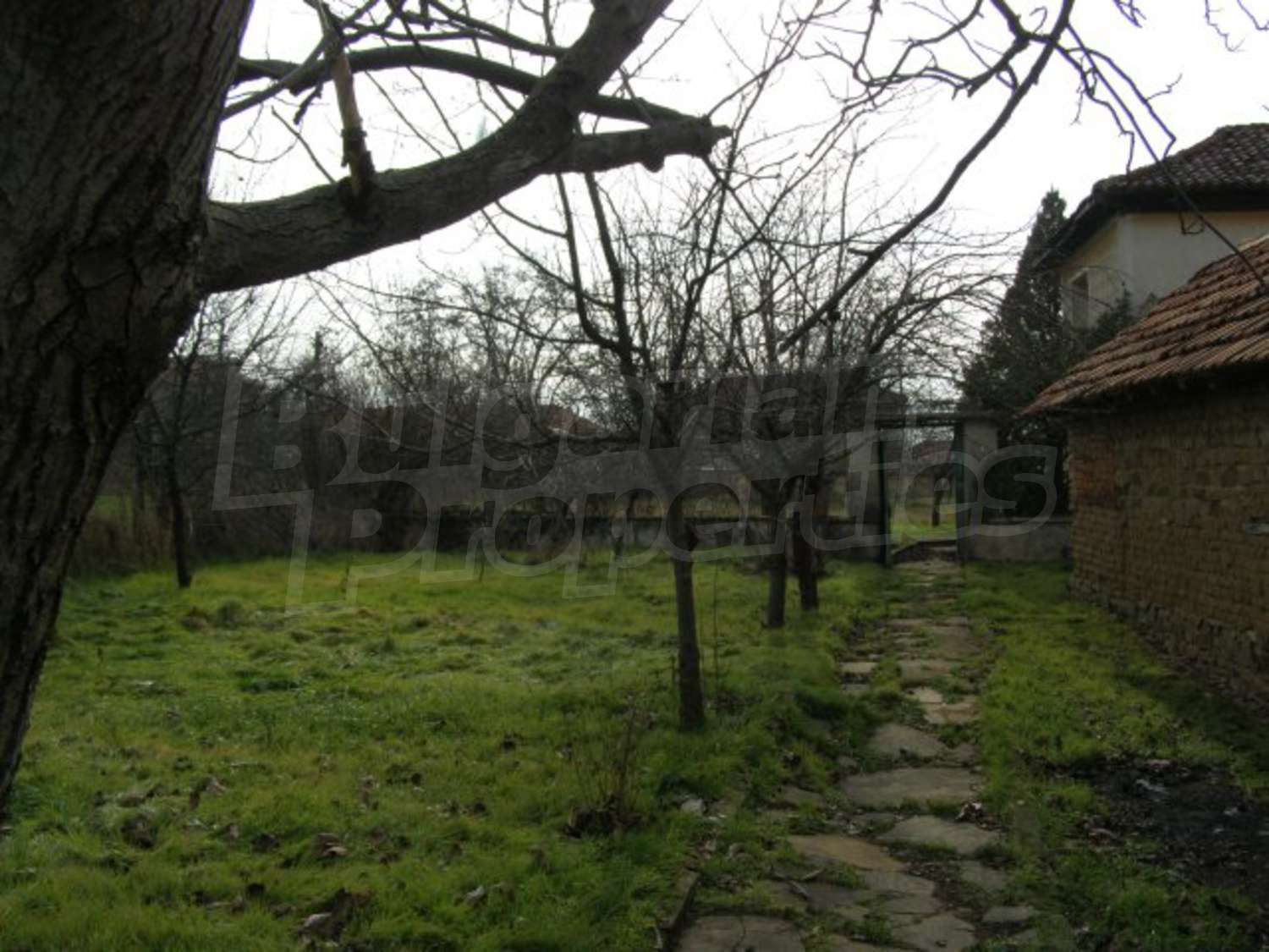 Gallery Picture 25
