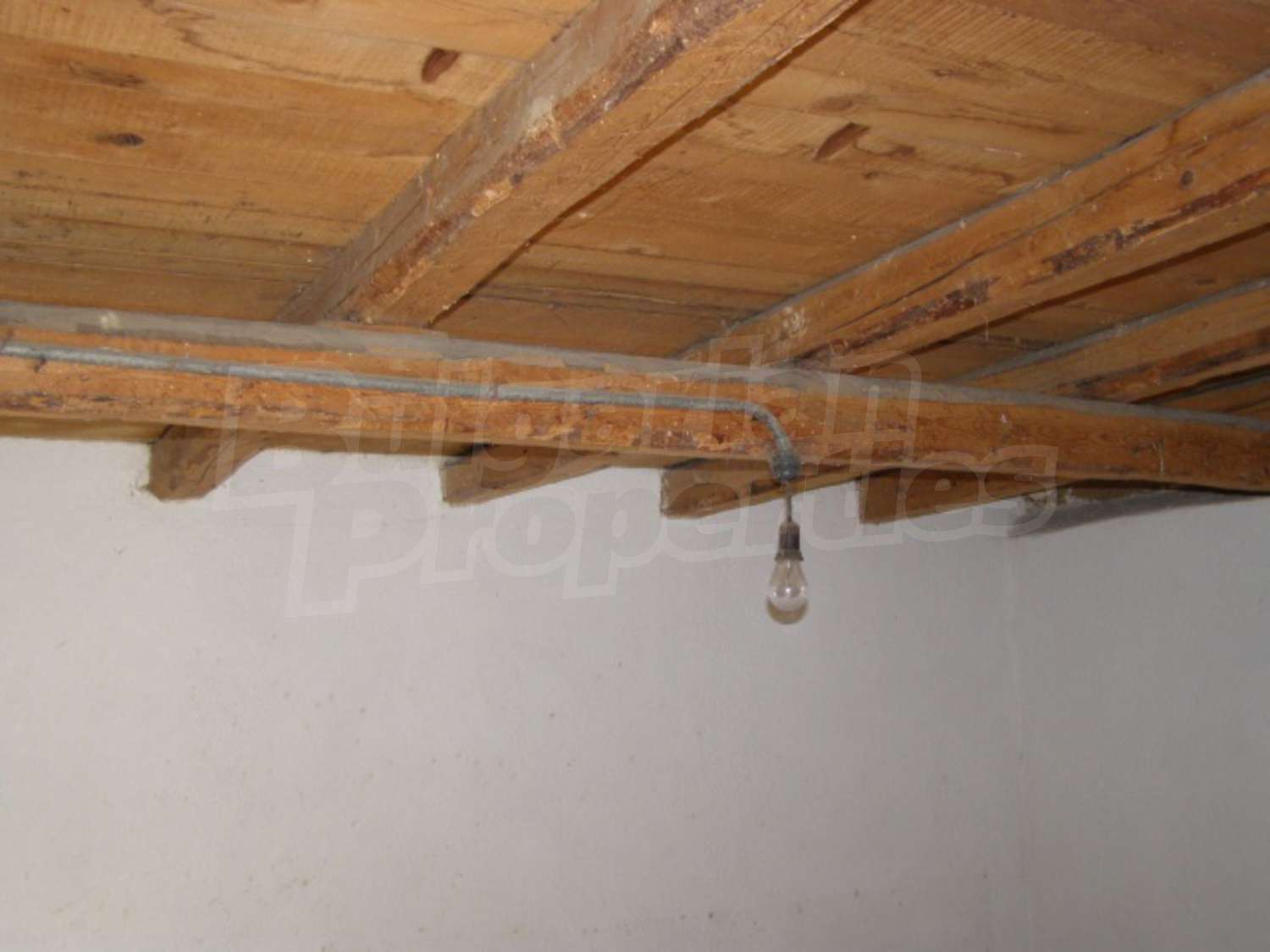 Gallery Picture 6