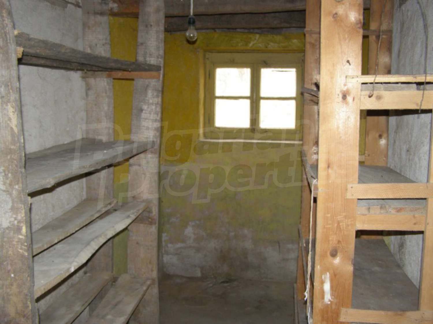 Gallery Picture 8