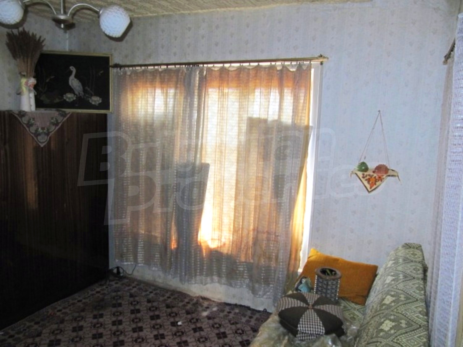 Gallery Picture 10