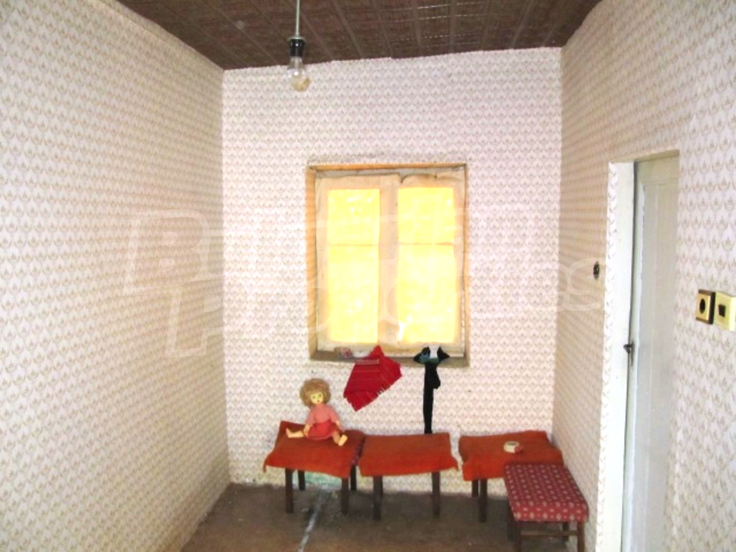 Gallery Picture 5