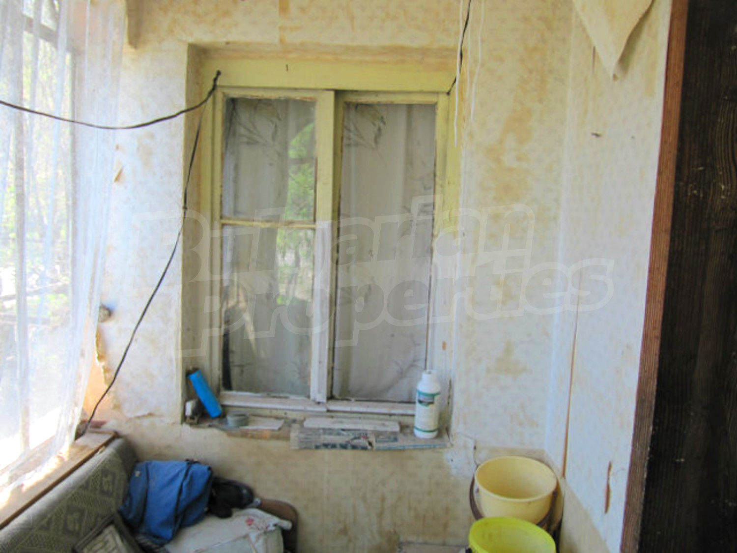 Gallery Picture 7