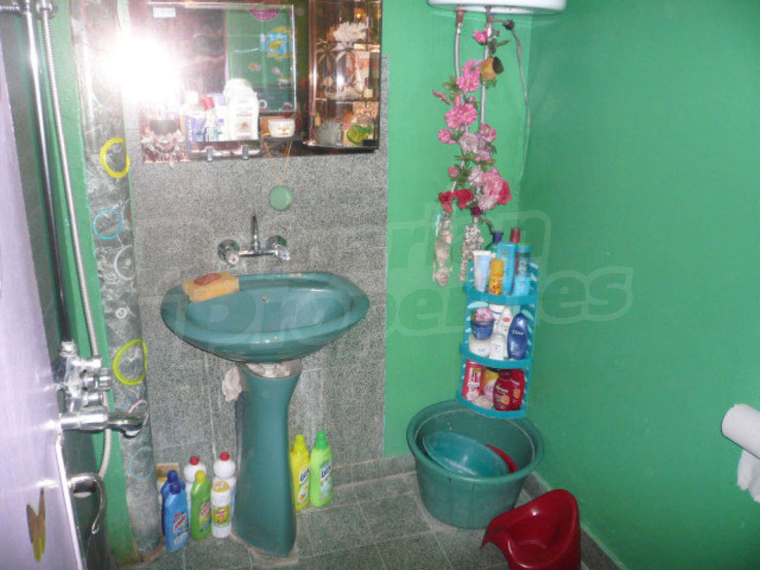 Gallery Picture 14