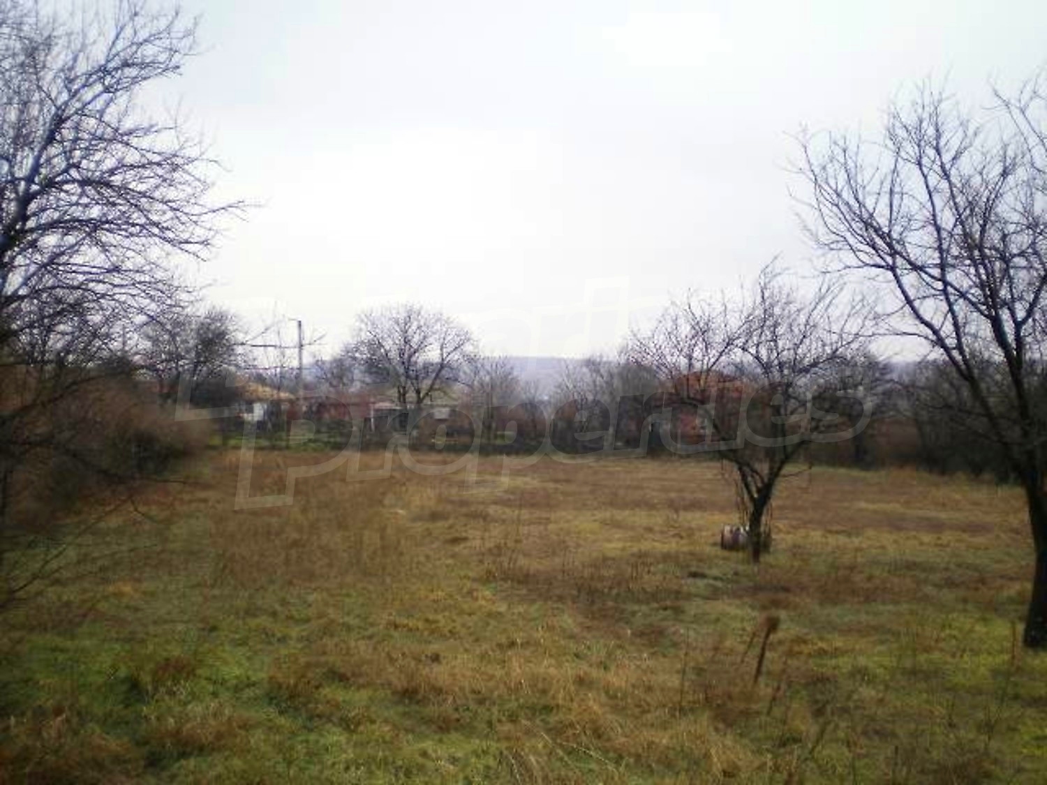 Gallery Picture 11