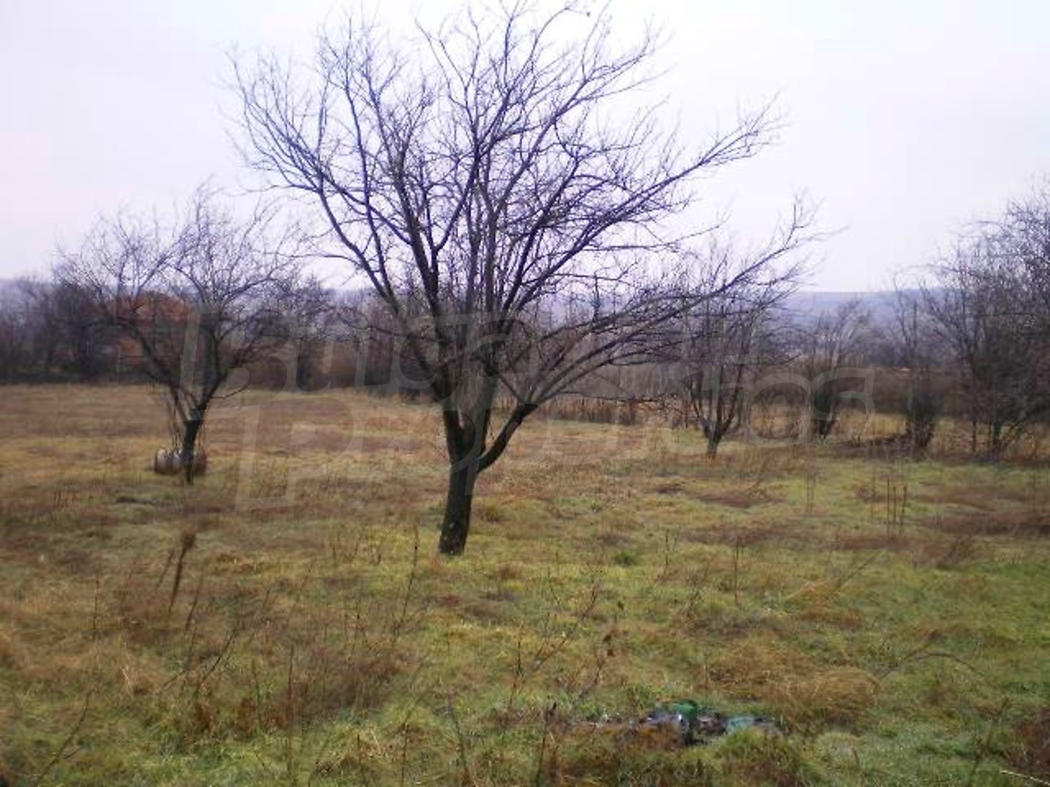 Gallery Picture 13