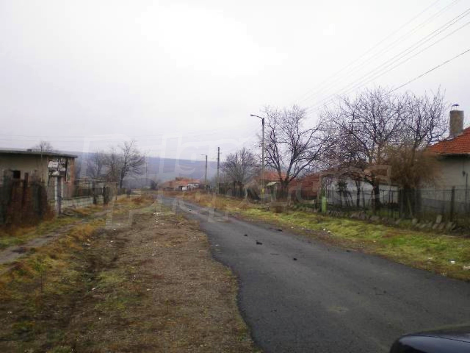 Gallery Picture 19
