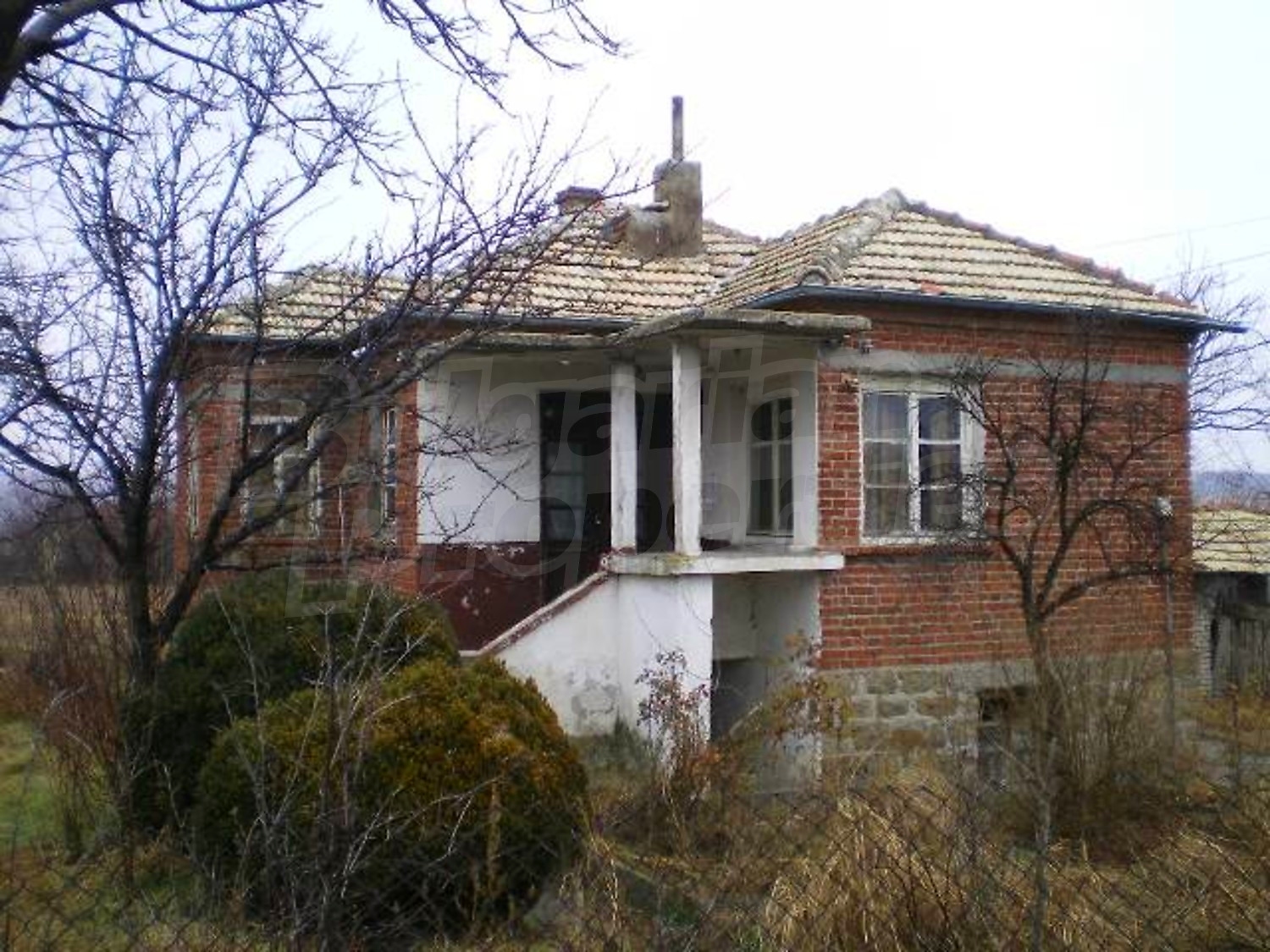 Gallery Picture 5