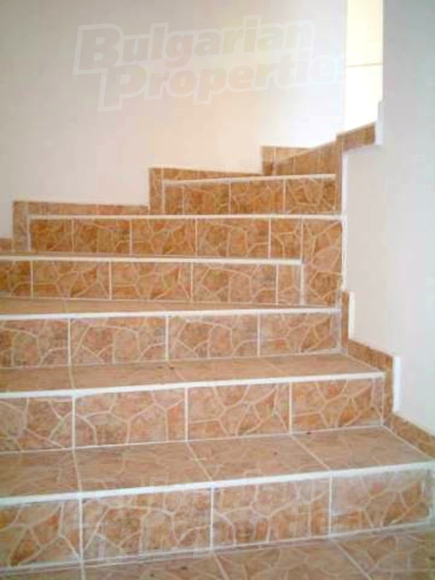 Gallery Picture 11