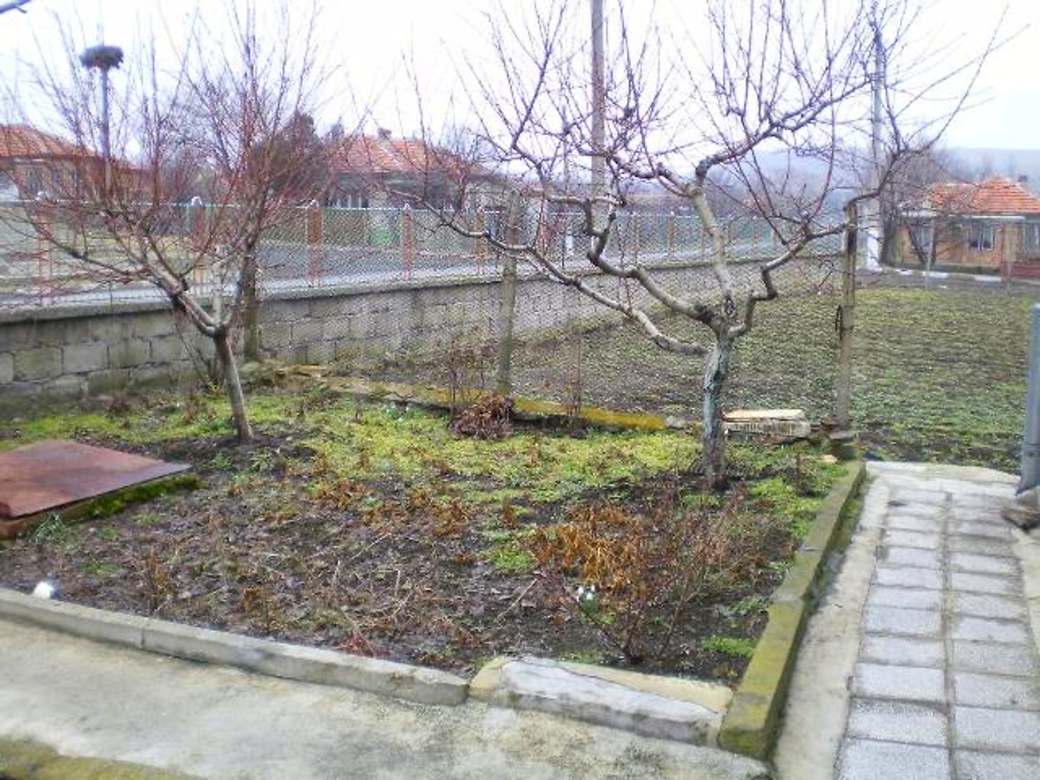 Gallery Picture 8