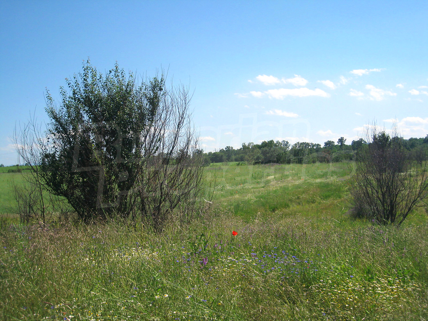 Gallery Picture 13