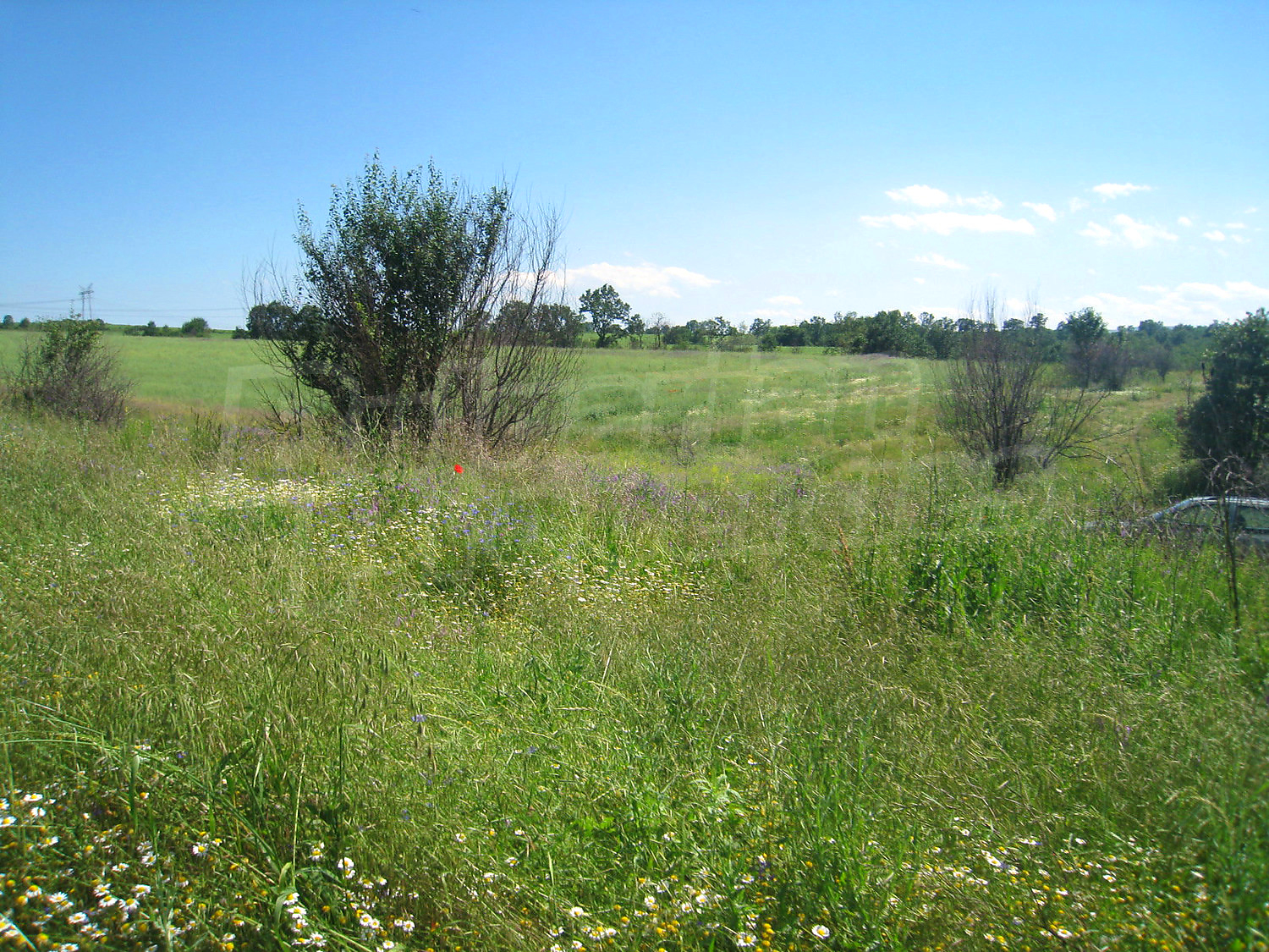 Gallery Picture 6
