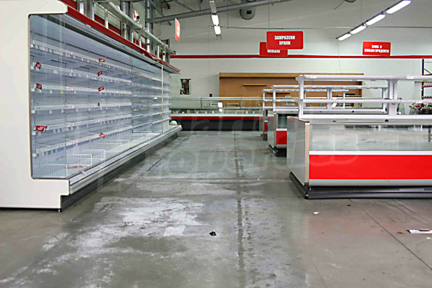 Gallery Picture 6