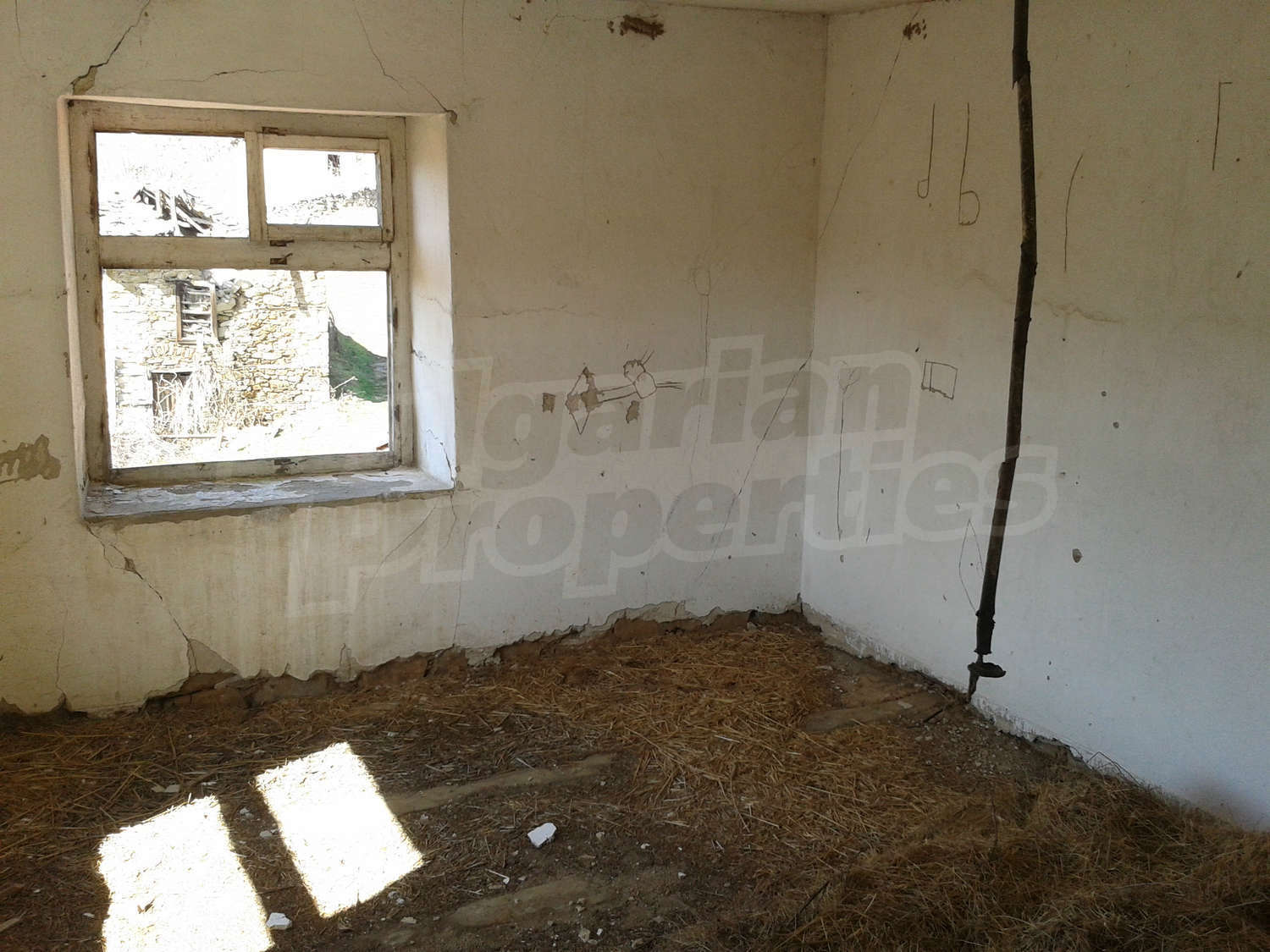 Gallery Picture 10