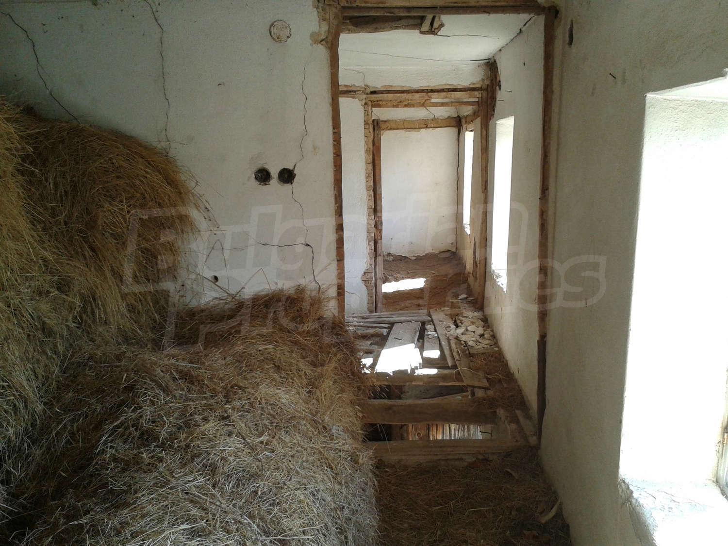 Gallery Picture 12