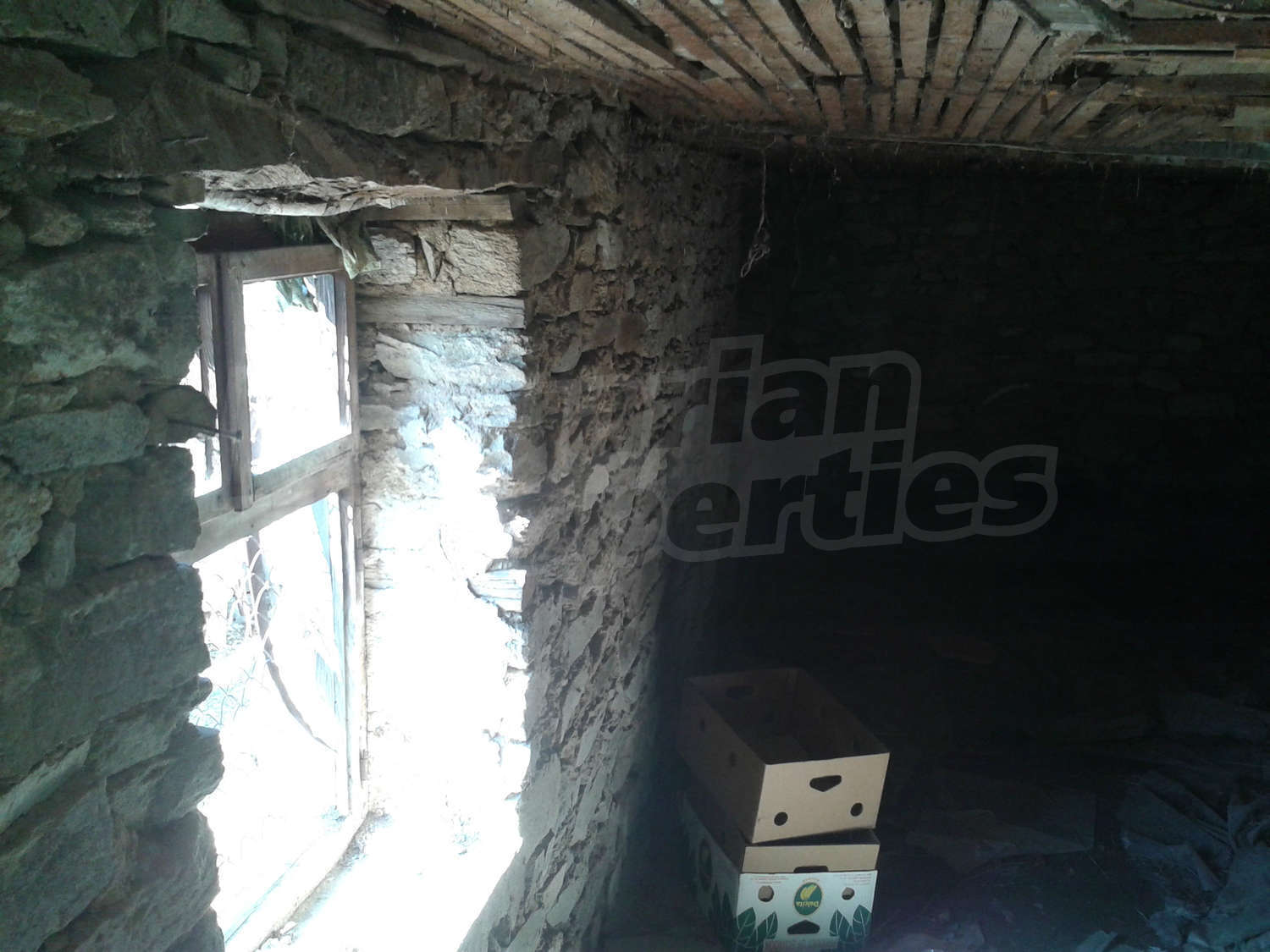 Gallery Picture 7