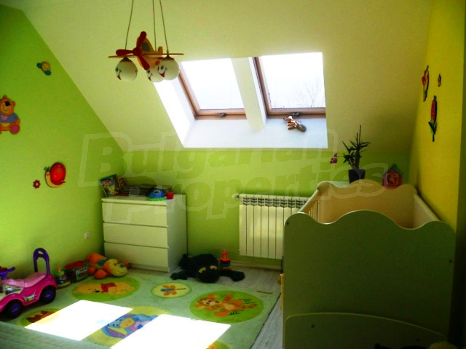 Gallery Picture 17