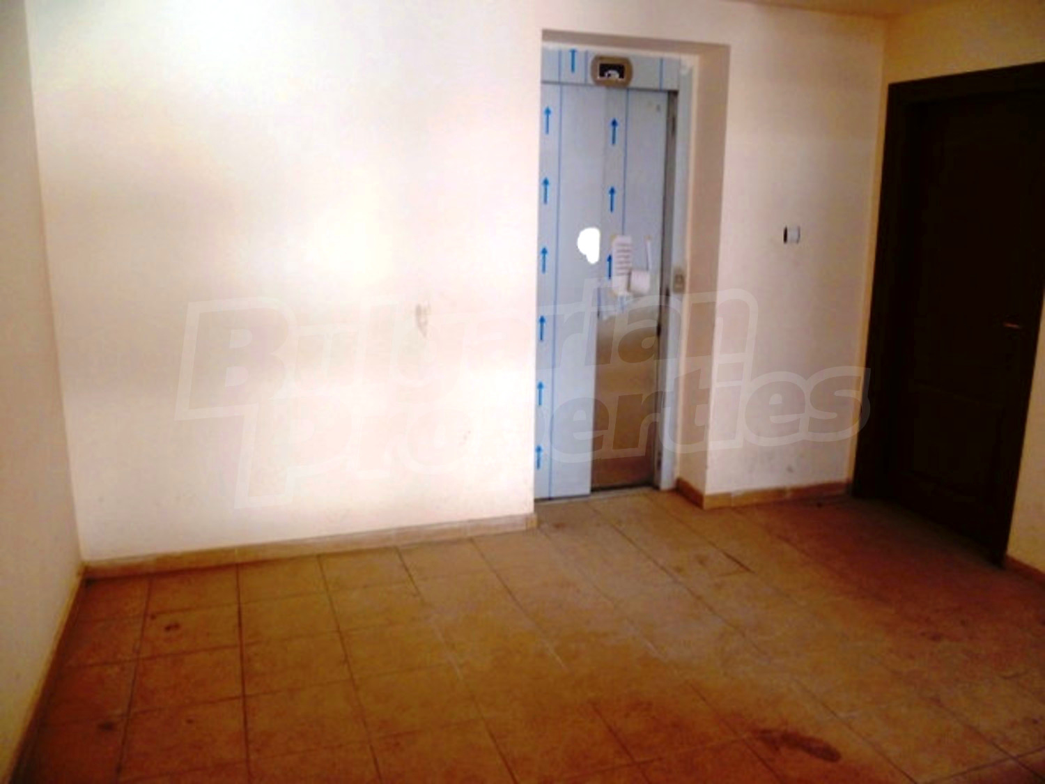 Gallery Picture 31