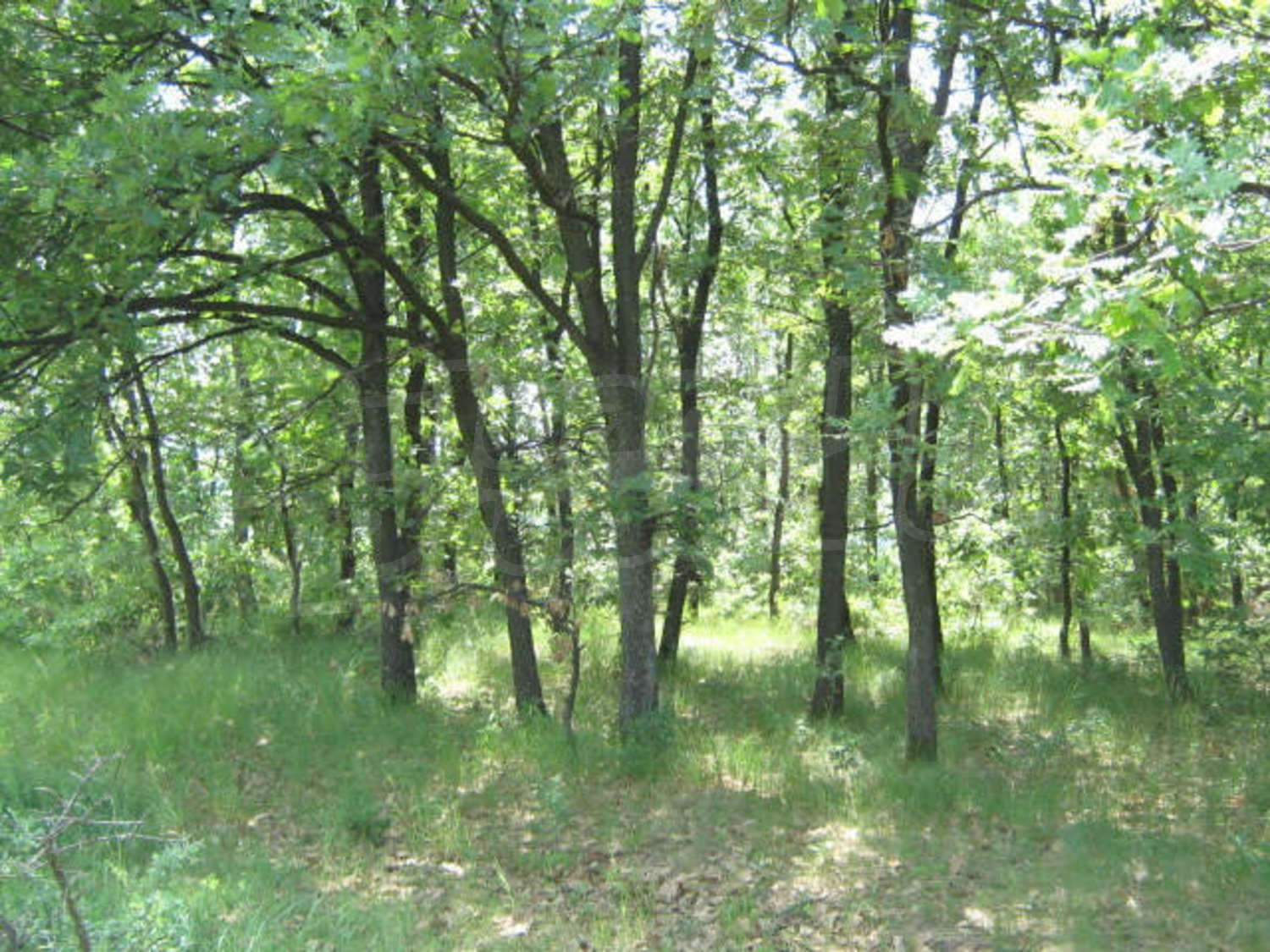 Gallery Picture 2