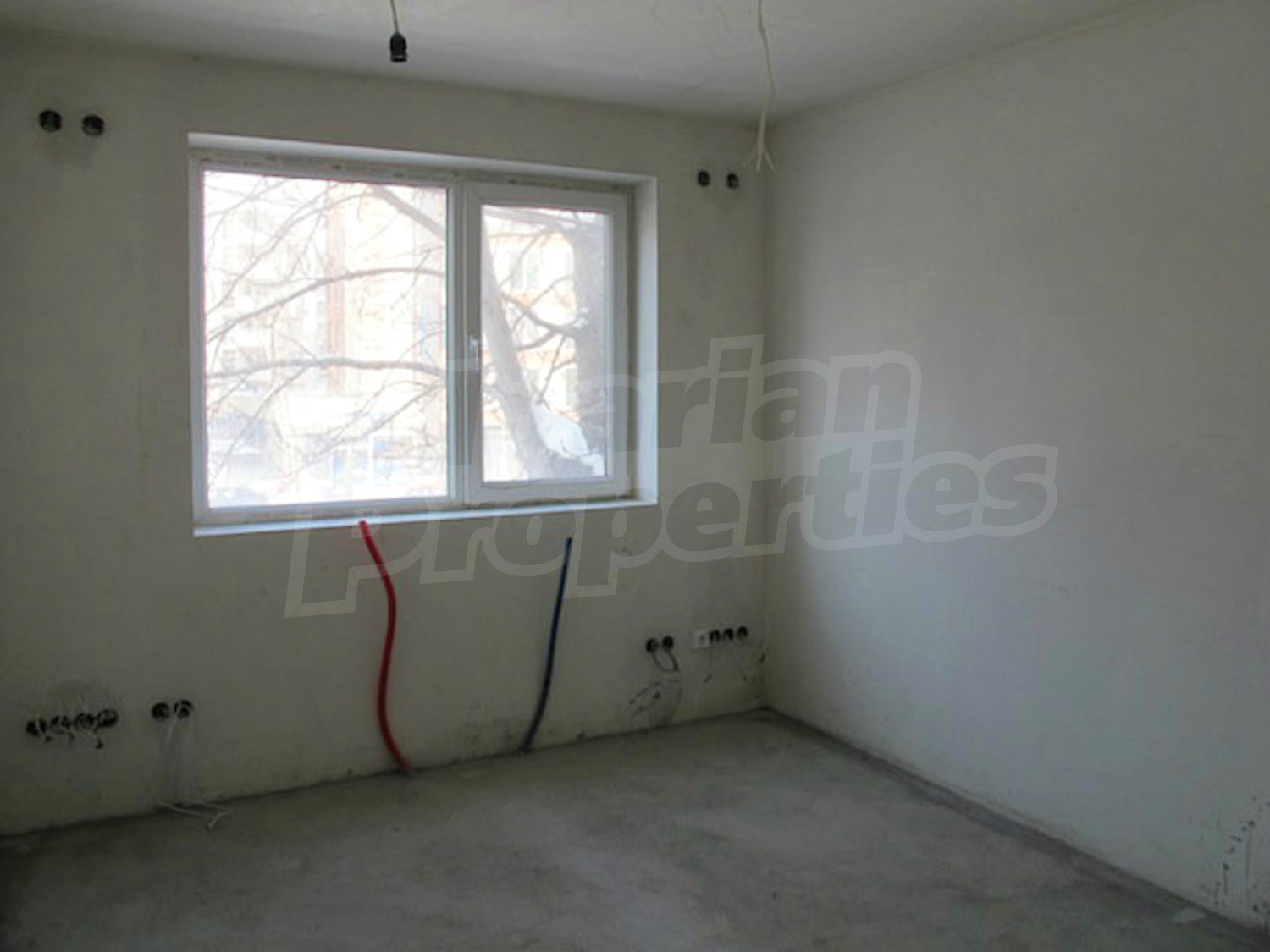 Gallery Picture 4